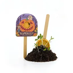 Die Stadtgärtner Die Stadtgärtner Halloween - Blumenlolly - Sonnenblume - Geschenk & Giveaway für Halloween – Produktbild 1 von 1