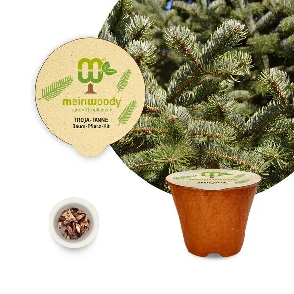meinwoody meinwoody Baum-Pflanz-Set – Produktbild 4 von 8