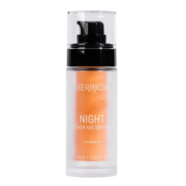 BERRICHI Naturkosmetik BERRICHI Naturkosmetik NIGHT - BIO Nachtcreme mit austauschbarer Nachfüllflasche – Produktbild 1 von 3