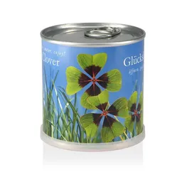 MacFlowers MacFlowers Pflanzen in der Dose - Glücksklee – Produktbild 1 von 1