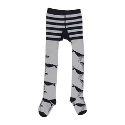 Walkiddy Strumpfhose Grau Wale-Allover Bio-Baumwolle GOTS – Walkiddy – Produktbild 1 von 1