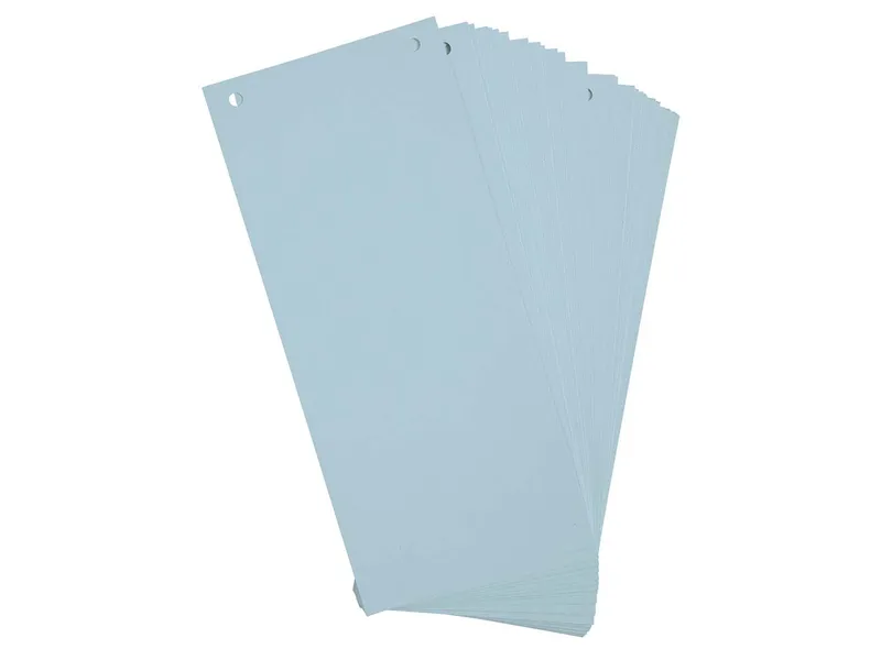 Exacompta 12 x 100 Exacompta Trennstreifen "Forever", 180 g/m², 105 x 240 mm, hellblau – Produktbild 1 von 1