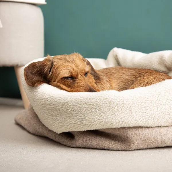 nahtur-design nahtur-design Kuschelsack für Hunde | 100% Schurwolle | Wechselbares Inlay, Beige, – Produktbild 2 von 4