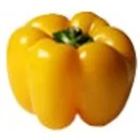 Deutschland Paprika, gelb – Produktbild 1 von 1