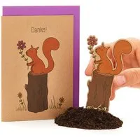 Die Stadtgärtner Die Stadtgärtner Danksagungskarte mit Blumensamen - Motiv "Danke Eichhörnchen" – Produktbild 1 von 1