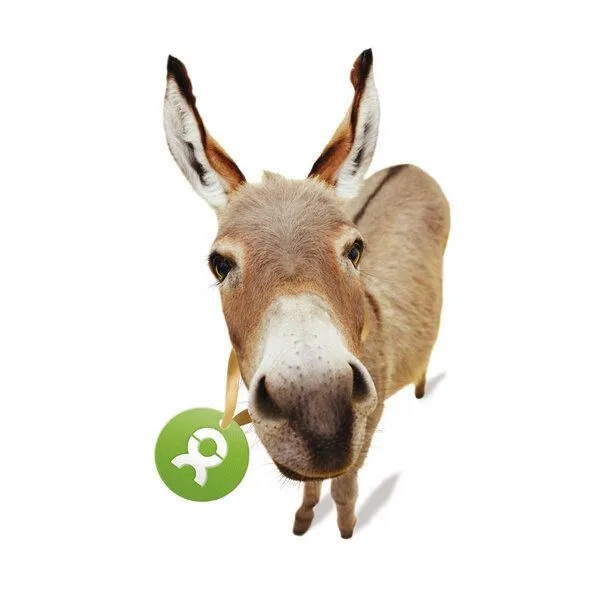 OxfamUnverpackt OxfamUnverpackt Spenden-Geschenk "Esel" (Grußkarte mit Magnet) – Produktbild 1 von 2