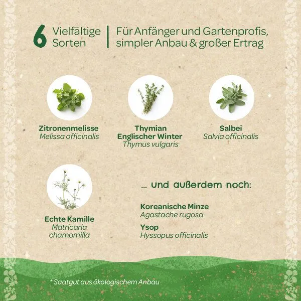 Die Stadtgärtner Die Stadtgärtner BIO-Saatgut-Set "Teekräuter" – Produktbild 1 von 3