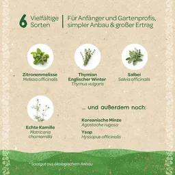 Die Stadtgärtner Die Stadtgärtner BIO-Saatgut-Set "Teekräuter" I Saatgut für alle Teeliebhaber I Samenmischung – Produktbild 1 von 1