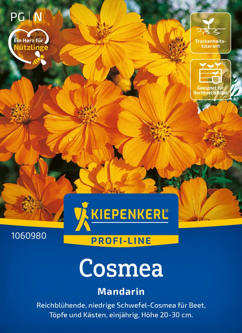 Kiepenkerl Kiepenkerl Cosmos Mandarin – Produktbild 2 von 2