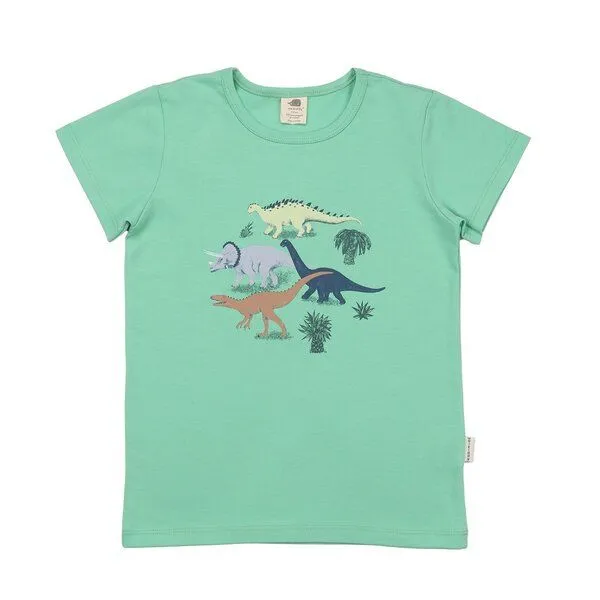 Walkiddy Walkiddy Kinder T-Shirt GOTS zertifiziert, Bio-Baumwolle, mintgrün, Dinosaurier-Print, weich & bequem, Blau, – Produktbild 1 von 3