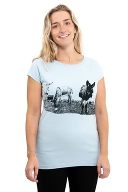 Hirschkind Hirschkind Fair-Trade-Frauenshirt mit Raglanärmeln "Eselcombo" - Made in Kenia - hellgrau – Produktbild 1 von 1