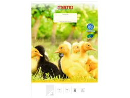 Memo memo Schulheft A4 Lin. 1 / 1. Klasse lin – Produktbild 1 von 1