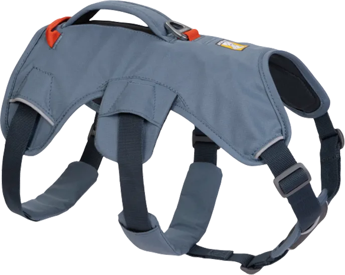 Ruffwear Ruffwear Web Master™ Geschirr schieferblau XXS – Produktbild 2 von 4