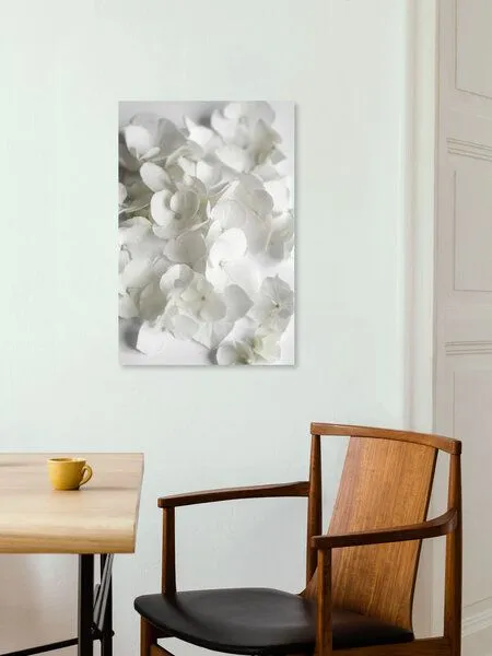 Photocircle Photocircle Poster / Leinwandbild - White Beauty – Produktbild 4 von 8