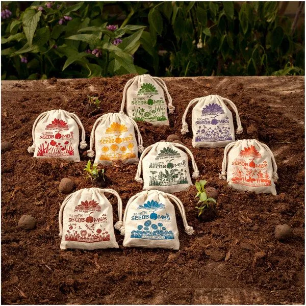 Die Stadtgärtner Die Stadtgärtner 8 verschiedenen Sorten Samenbomben I 100% ökologische Seedbombs – Produktbild 2 von 2