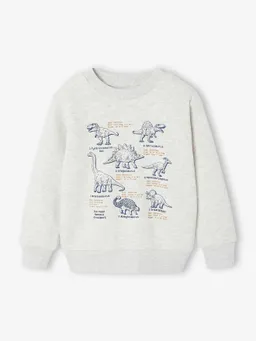 Vertbaudet Sweatshirt mit Frontprint Jungen BASIC – Produktbild 1 von 1