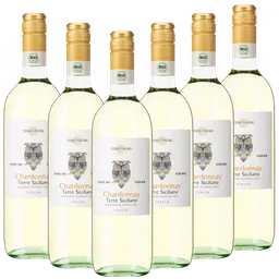 TerrAmore TerrAmore Bio-Chardonnay Terre Siciliane IGT "TerrAmore" Italien  trocken - 6er Karton – Produktbild 1 von 1