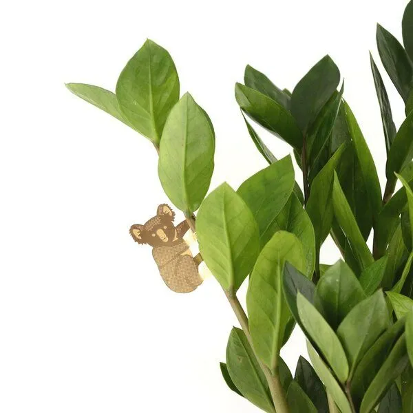 another studio another studio Plant Animal - Design Pflanzendekoration - Figuren aus Messing, Koala, – Produktbild 3 von 4