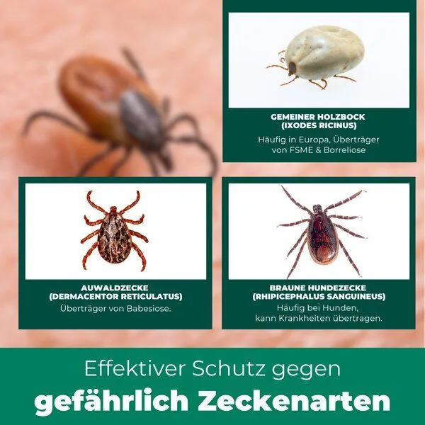 Silberkraft Silberkraft Zeckenspray – Produktbild 4 von 4