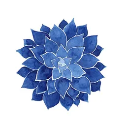 Photocircle Photocircle Poster / Leinwandbild - Indigo Succulent – Produktbild 1 von 1