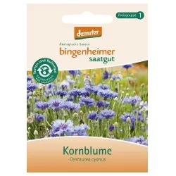 Bingenheimer Saatgut Kornblume – Produktbild 1 von 1