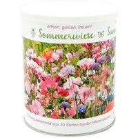 MacFlowers MacFlowers Wildblumenarten - diese Sommerwiese enthält 30 verschiedene Sorten – Produktbild 1 von 1