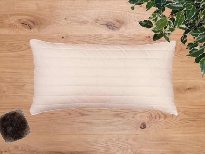 allnatura allnatura Rosshaar-Kopfkissen "Cavallo" - Schnäppchen 2092-06999 | 60x70 cm – Produktbild 2 von 2