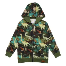 Walkiddy Walkiddy Kinder Sweatjacke GOTS zertifiziert – Grün mit Dinosauriermotiv, Kapuze & Reißverschluss – Produktbild 1 von 1