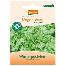 Bingenheimer Saatgut Winterpostelein – Produktbild 1 von 1