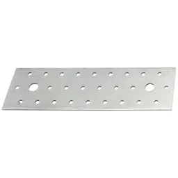 Alberts ALBERTS Lochplatte, sendzimirverzinkt, LxB 200x60 mm – Produktbild 1 von 1