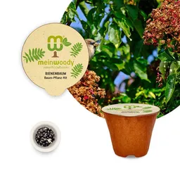 meinwoody meinwoody Baum-Pflanz-Set – Produktbild 1 von 1