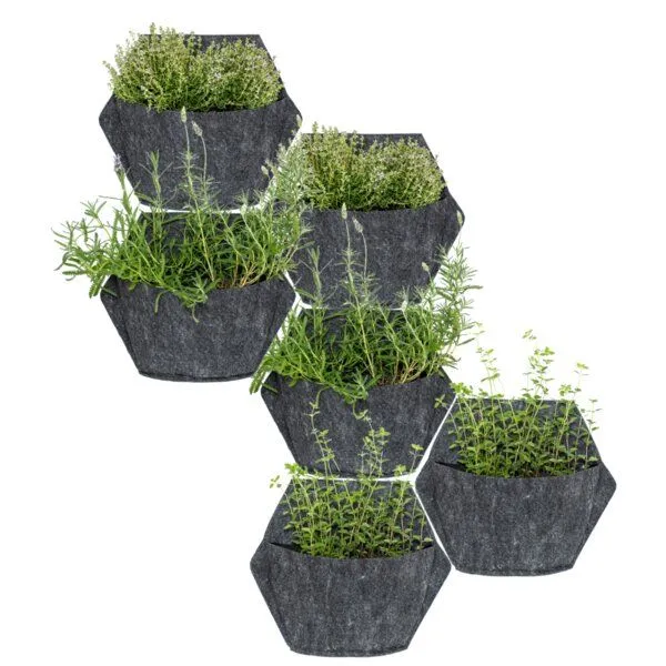CitySens CitySens 6er-Pack Wand-Blumentopf mit Textilbezug und automatische Bewässerung, Schwarz, – Produktbild 3 von 3
