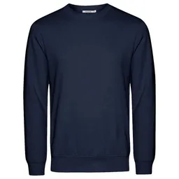 GreenBomb GREENBOMB Sweat-Pullover Basic Wild – Produktbild 1 von 1