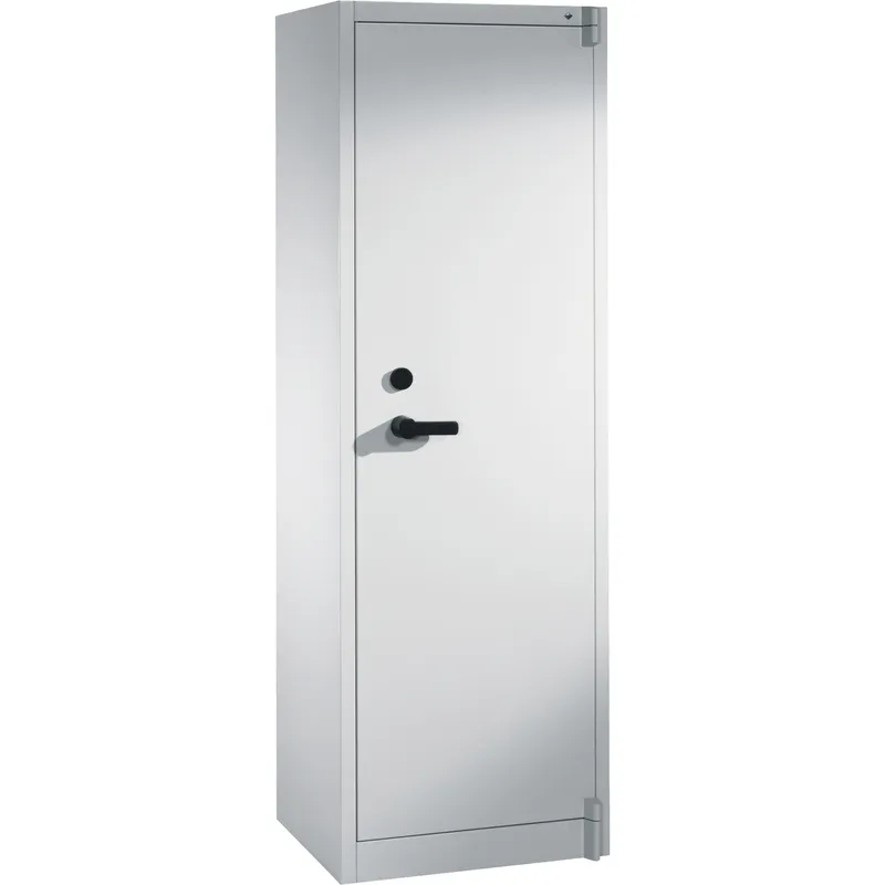 C+P C+P Feuergeschützte Flügeltürenschrank lichtgrau B 65 cm, H 195 cm – Produktbild 1 von 3