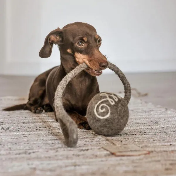 Wooliie Wooliie Hunde-Spielset aus 100 % naturbelassener Schurwolle (3er-Bundle) - Rope Ball & Rattle Ball – Produktbild 3 von 4