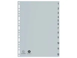 Exacompta Exacompta Register aus Recyclingkunststoff 12-teilig, DIN A4 – Produktbild 1 von 1
