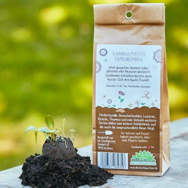 Die Stadtgärtner Die Stadtgärtner Set mit 4 Sorten Samenbomen | Tolles Geschenk für Gartenliehaber:innen – Produktbild 4 von 4