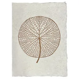 Veskor Cassiopeia Veskor Cassiopeia VICTORIA AMAZONICA Seerosenblatt Linoldruck | 37 x 50 cm | Kupfer auf Naturweiß – Produktbild 1 von 1
