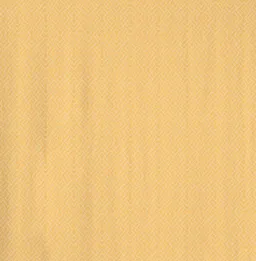 Nature by Adam Nature by Adam Tischläufer aus 100% Bio-Baumwolle - Made in Germany - Graphic Ventus – Produktbild 1 von 1