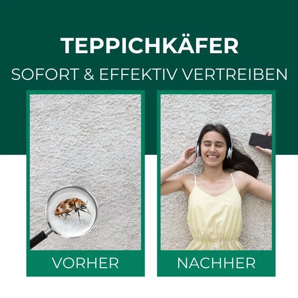 Silberkraft Silberkraft Teppichkäfer Spray - Teppichkäfer vertreiben & loswerden – Produktbild 2 von 4
