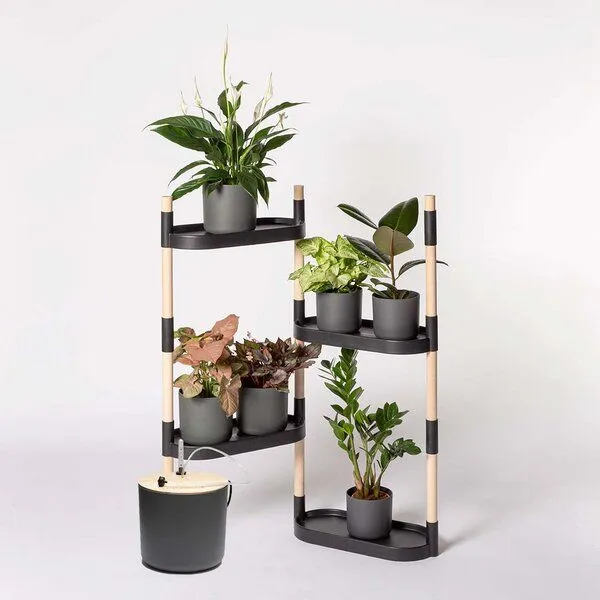 CitySens CitySens Blumenregal mit 4 Ablagen und automatischer Bewässerung., Schwarz, – Produktbild 1 von 4