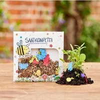 Die Stadtgärtner Saatgutkonfetti von "Die Stadtgärtner" | Natürliches Konfetti aus Wildblumensaatgut und witzigen Saatpaierformen für Kinder – Produktbild 1 von 1
