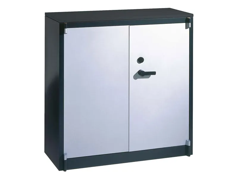 C+P C+P Feuergeschützte Flügeltürenschrank anthrazit/alusilber B 93 cm, H 122,6 cm – Produktbild 1 von 1
