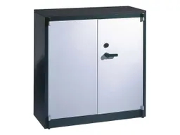 C+P C+P Feuergeschützte Flügeltürenschrank anthrazit/alusilber B 93 cm, H 122,6 cm – Produktbild 1 von 1