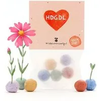 Die Stadtgärtner Die Stadtgärtner 5 bunte Blumenmurmeln mit Wildblumensaatgut im Tütchen | „HDGDL“-Herz für beste Freundin, Valentinstag & Liebesbotschaften – Produktbild 1 von 1