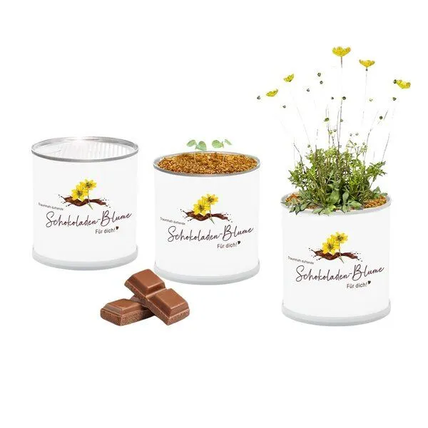 MacFlowers MacFlowers Pflanze in der Dose leichtes Anzuchtset mit Schokoladenblume Für Dich! – Produktbild 2 von 2
