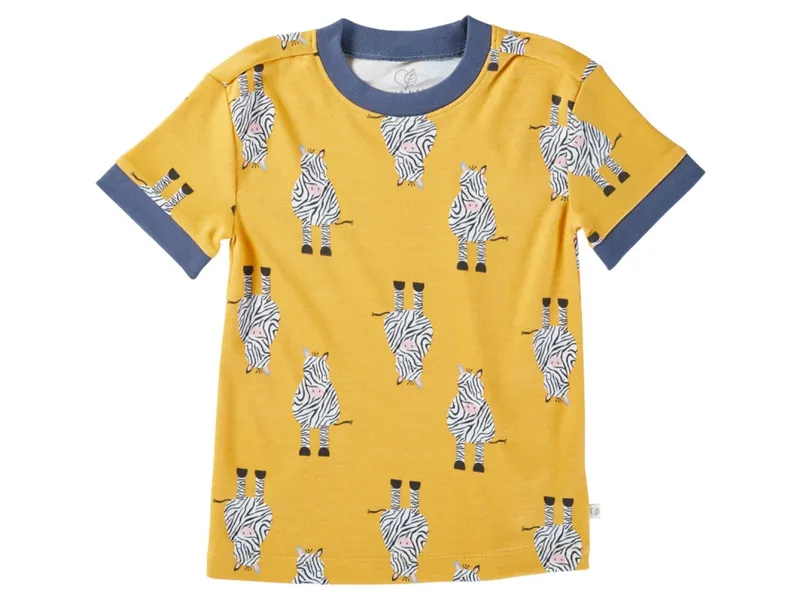 HANS NATUR Kinder T-Shirt Bio-Baumwolle Zebrafreunde curry Gr.98/104, Gelb, – Produktbild 1 von 2