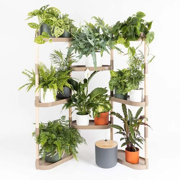 CitySens CitySens Blumenregal mit 8 Ablagen und automatischer Bewässerung., Rinde, – Produktbild 1 von 4