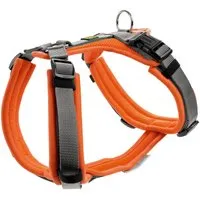 Hunter Hunter Geschirr Maldon Up orange XS – Produktbild 1 von 1