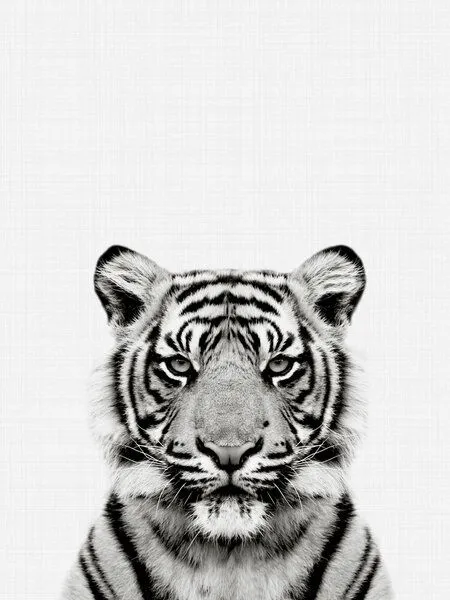 Photocircle Photocircle Poster / Leinwandbild - Tiger (Black and White) – Produktbild 1 von 4